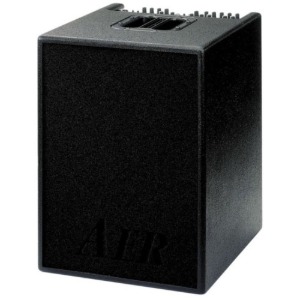 AER Basic Performer2 베이스 기타 앰프 스피커 (200W)